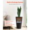 Set of 2 Tall Black Planters with Built-In Planting Box for Indoor and Outdoor Gardening